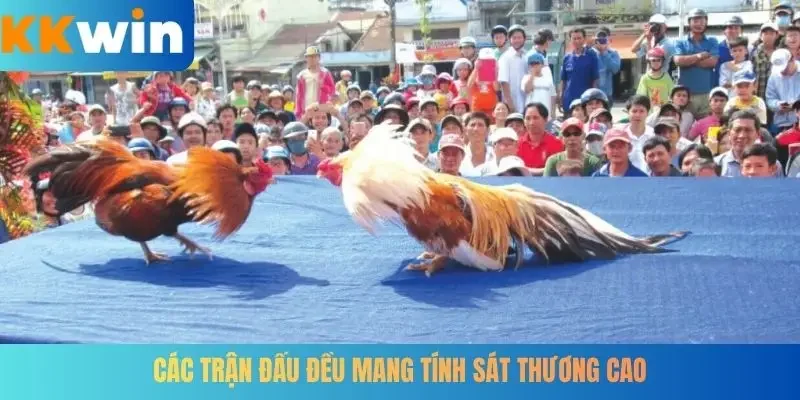 Các trận đấu đều mang tính sát thương cao
