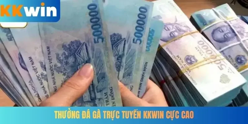 Thưởng đá gà trực tuyến KKWIN cực cao